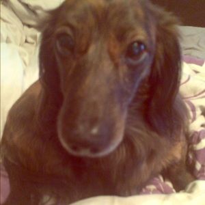 Meet your Posher, Gina